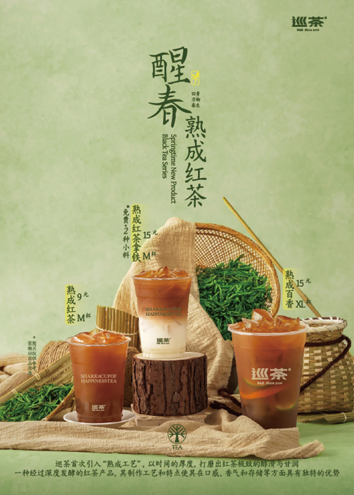 巡茶醒春熟成红茶海报